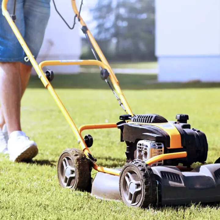 Grass cutting service