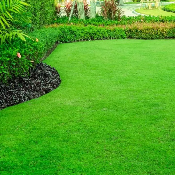 Green lawn care