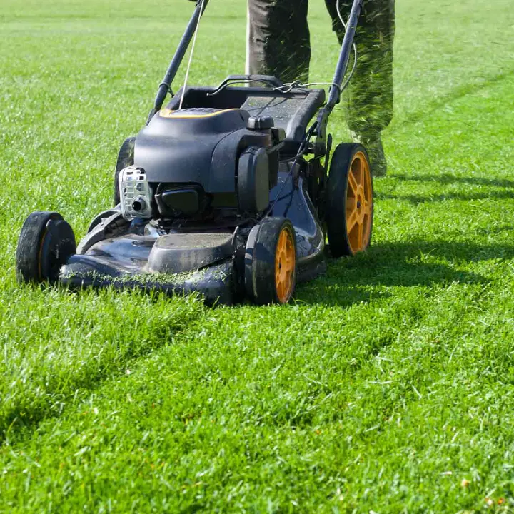 grass cutting service