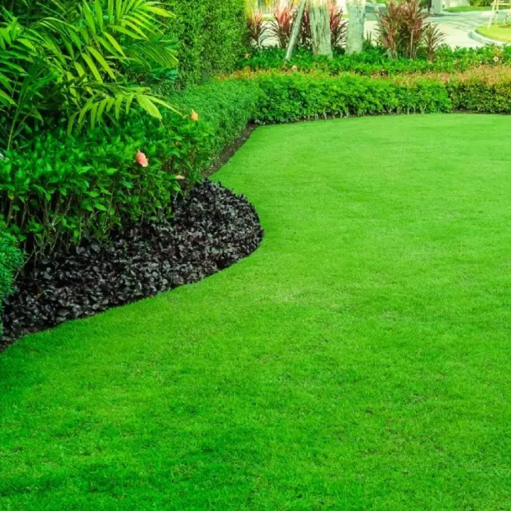 green lawn care